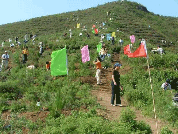 “碳匯林業(yè)”值得我們期待