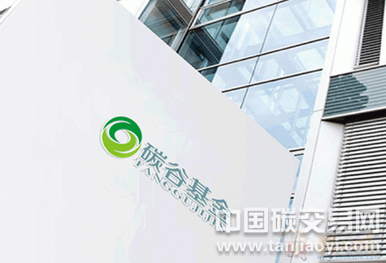 分析碳基金的概念及其產(chǎn)生背景