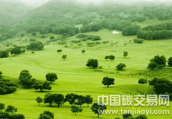 分析森林碳匯減排項(xiàng)目現(xiàn)狀及前景