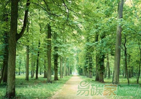 京冀跨區(qū)域碳交易市場(chǎng)滿周年