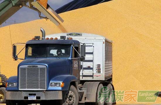 研究稱生物燃料不環(huán)保碳排放多于化石燃料