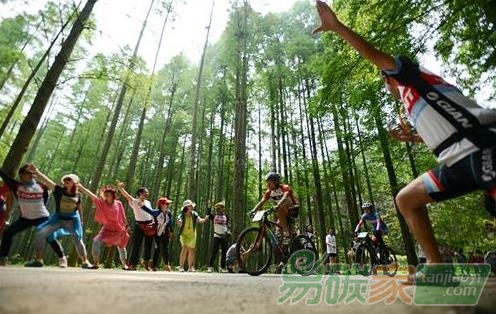 王超：加快林業(yè)碳匯項(xiàng)目的儲(chǔ)備與開(kāi)發(fā)