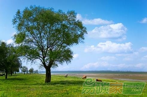 林業(yè)碳匯項目的儲備與開發(fā)“意義有多大”？