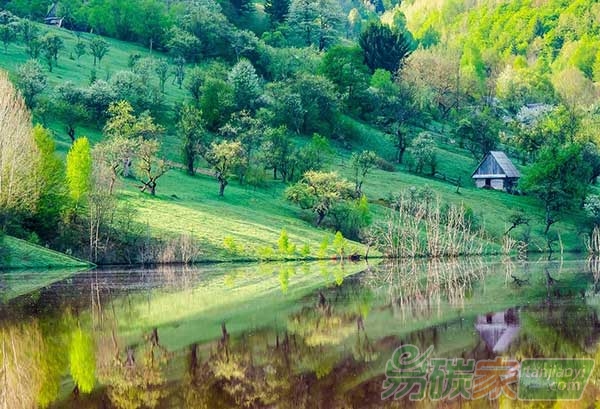 央行馬駿：未來(lái)可能使用PSL支持綠色金融發(fā)展