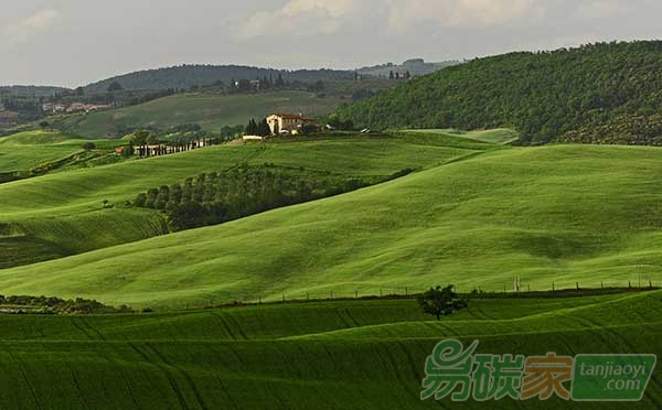 全球約有1/5溫室氣體來自農(nóng)業(yè)排放