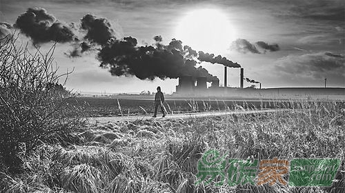 少生孩子是減少碳足跡最佳方法科學(xué)家評(píng)估個(gè)人生活方式對(duì)減排影響