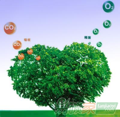 關(guān)于碳匯交易的N個(gè)誤區(qū)