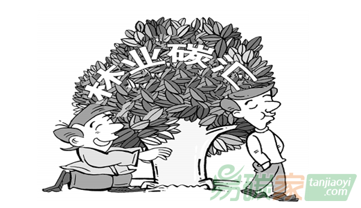 做林業(yè)碳匯項(xiàng)目來(lái)賺錢的投資人一定要看這個(gè)