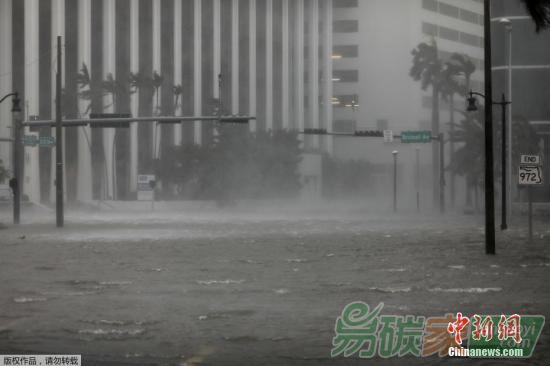 氣候變化致海面上升美國佛羅里達州邁阿密市及周圍地區(qū)未來幾十年或被淹沒