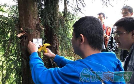 貴州省黔南布依族苗族自治州福泉市：種樹護(hù)生態(tài)