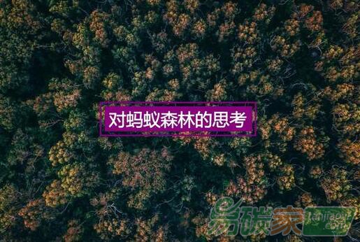 支付寶螞蟻森林背后的產(chǎn)品運營套路