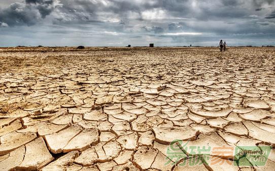 國際社會適應(yīng)氣候變化政策機(jī)制設(shè)計的經(jīng)驗、啟示及建議