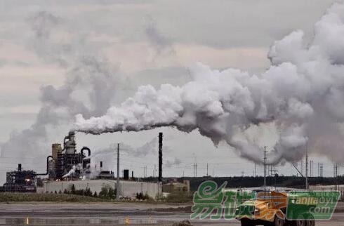 碳稅還要加？加拿大油價漲生活開支大