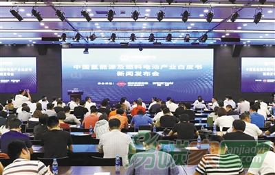 《中國(guó)氫能源及燃料電池產(chǎn)業(yè)白皮書》發(fā)布