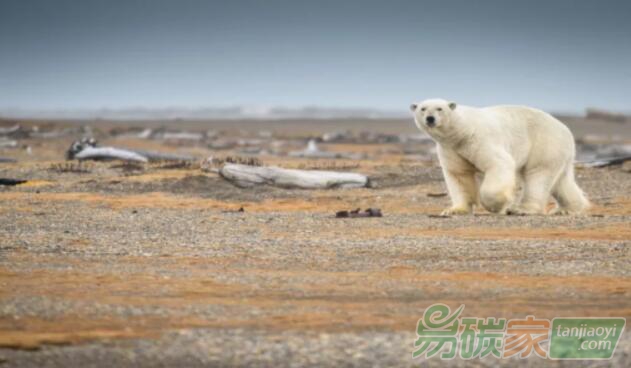 氣候變化成為金融風(fēng)險的焦點