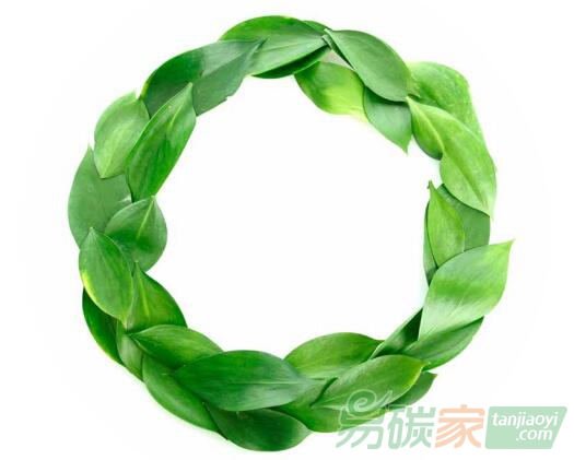 碳金融對可再生能源技術(shù)創(chuàng)新的異質(zhì)性影響——基于歐盟碳市場的實(shí)證研究