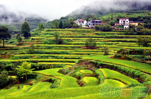 中國(guó)如何引領(lǐng)綠色金融的未來(lái)