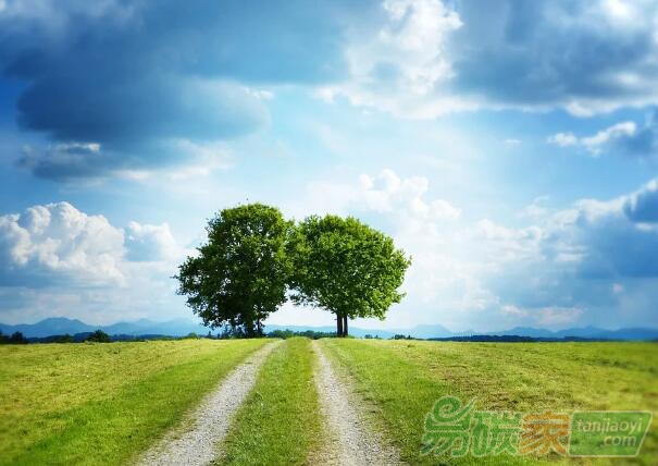 CCER突然火爆，監(jiān)管部門(mén)正整頓林業(yè)碳匯亂象